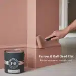 Farrow and Ball Dead Flat plint en muur