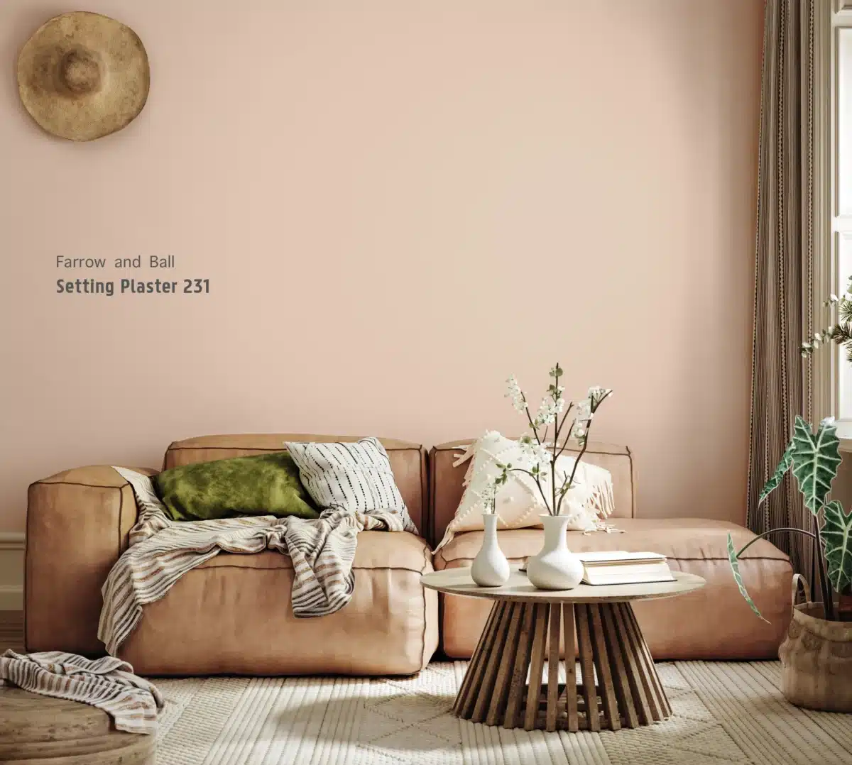 Setting Plaster 231