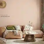 Setting Plaster 231