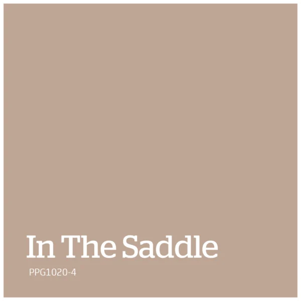 In The Saddle – PPG1020 4