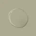 Olive Sprig – PPG1125 4