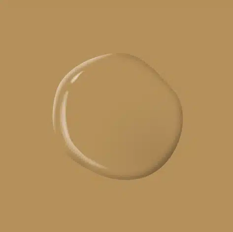 Tan Your Hide PPG1091 6