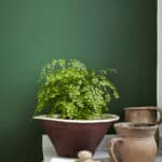 Little Green  Dark Brunswick Green 88