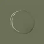 Dark Sage PPG1124 6 groene kleur van Sigma