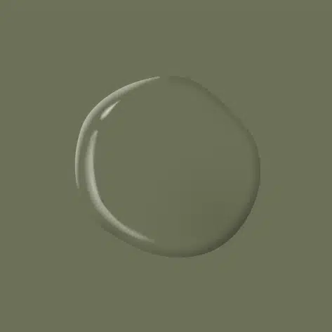 Dark Sage PPG1124 6 groene kleur van Sigma