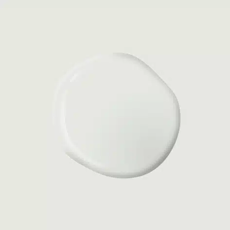 Radisson PPG1013 1