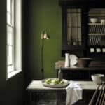 Little Green  Jewel Beetle 303