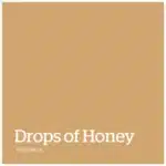 Drops Of Honey – PPG1090 4