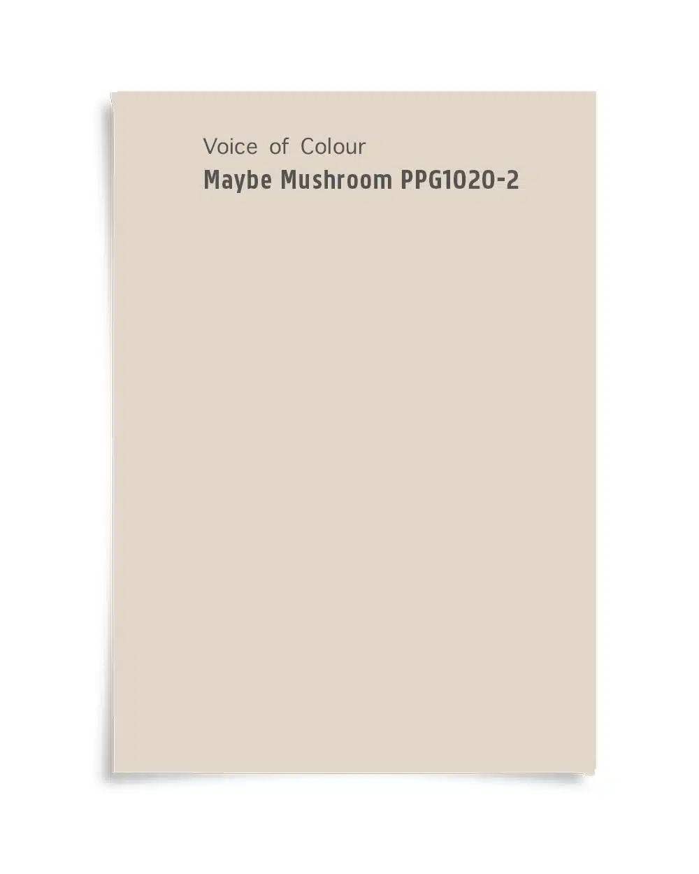 Maybe Mushroom PPG kleur