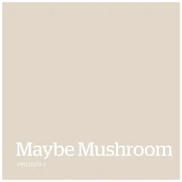 Maybe Mushroom kleur PPG1020 2