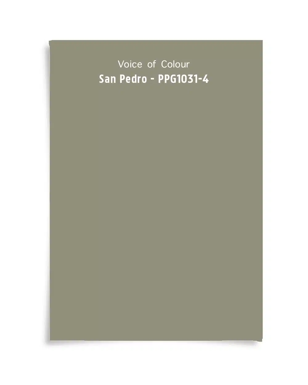 Kleur San Pedro