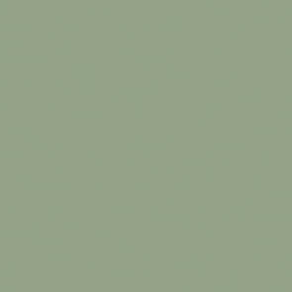 Kleurtester Breakfast Room Green