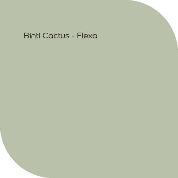 kleur Binti Cactus