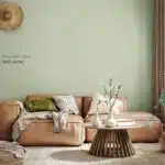 Binti Cactus kleur