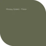 Mossy Green van Flexa