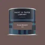 Paint & paper PLUM BRANDY tester