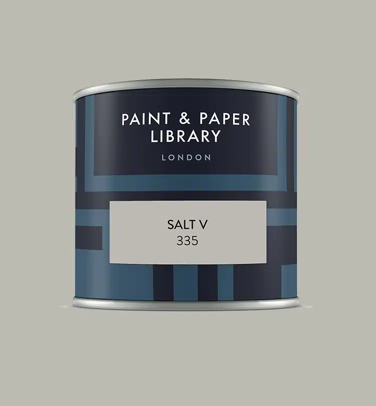 Paint & paper SALT V tester